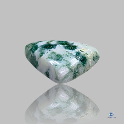 Green Tree Agate Triangle Cabochons