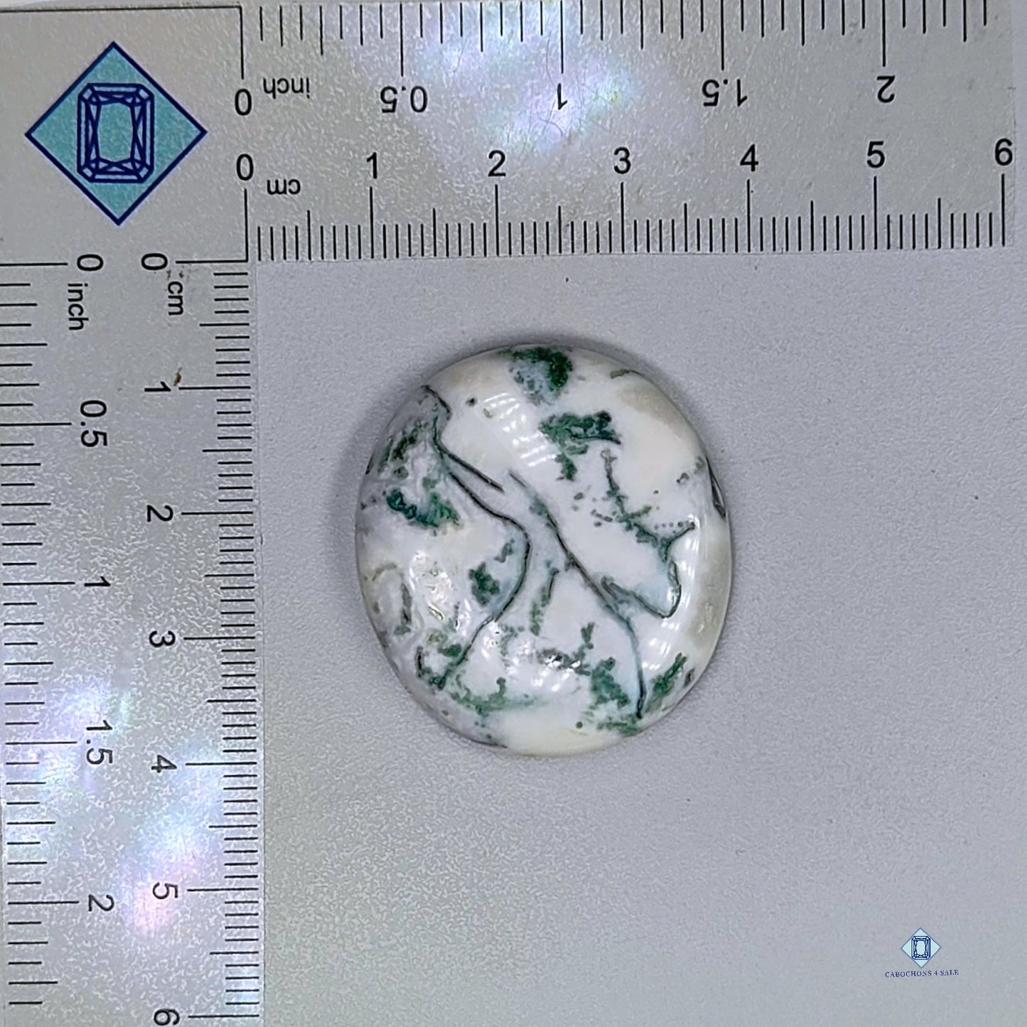 Green Tree Agate Round Cabochons