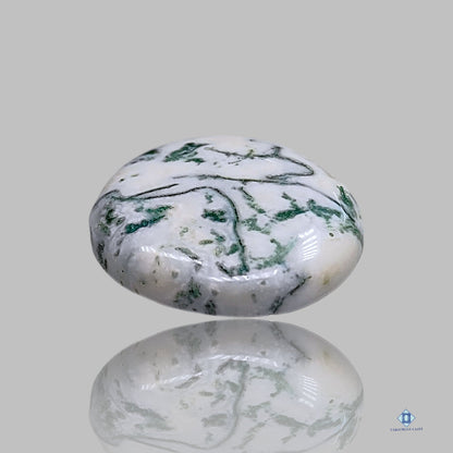 Green Tree Agate Round Cabochons