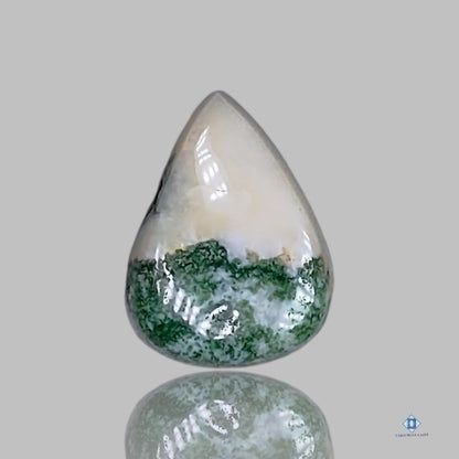 Green Tree Agate