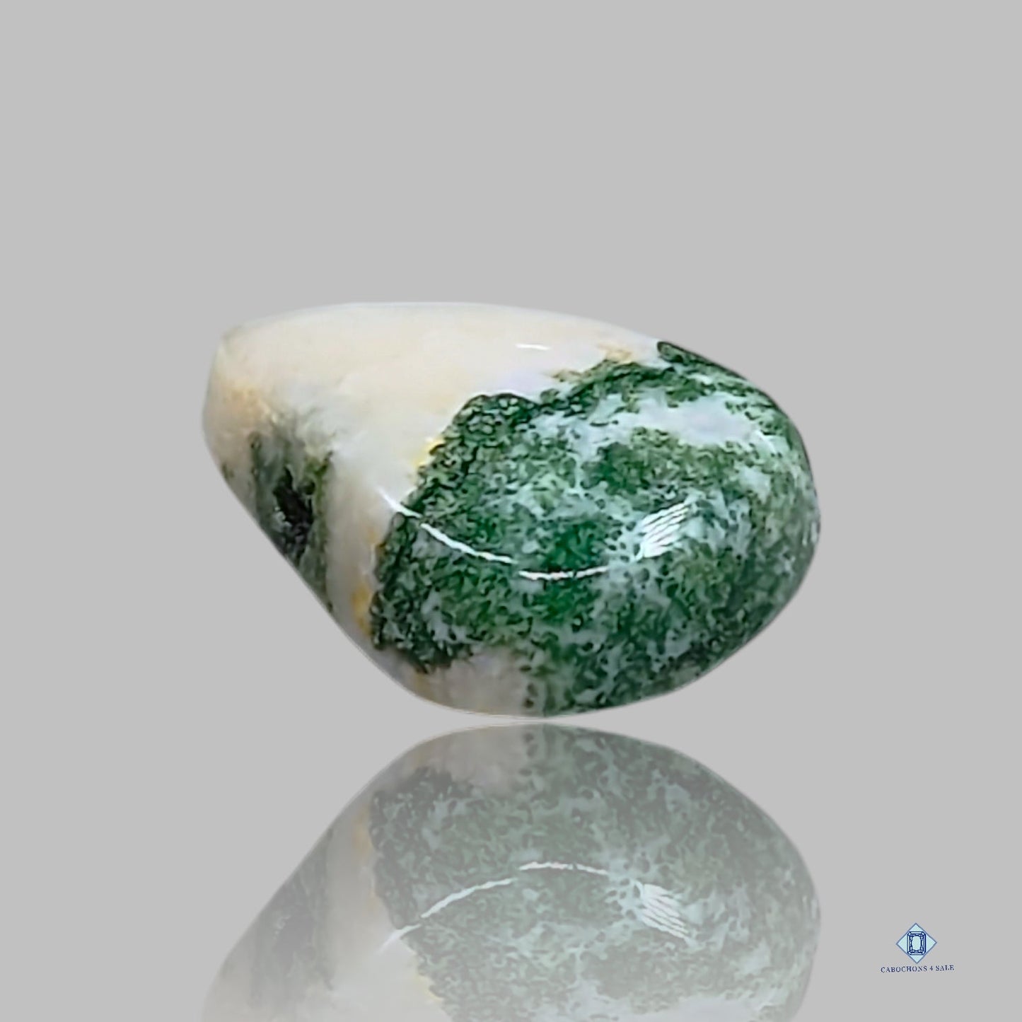 Green Tree Agate Pear Cabochons