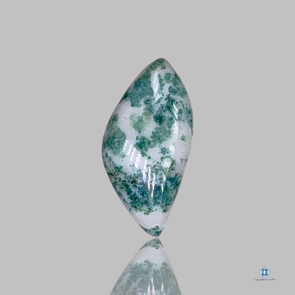 Green Tree Agate