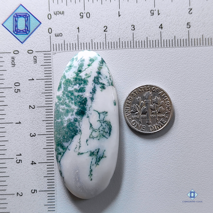 Green Tree agate-Oval-Cabochons