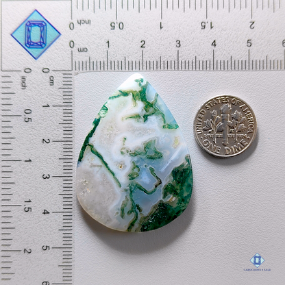 Green Tree agate-Pear-Cabochons