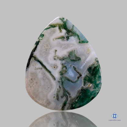 Green Tree agate-Pear-Cabochons