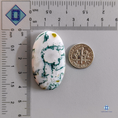 Green Tree agate-Oval-Cabochons