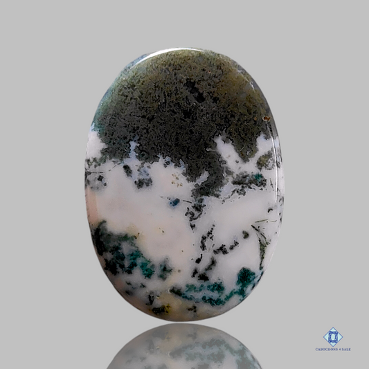 Green_Tree_agate-c4sw1716-oval-Green-Cabochons