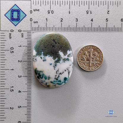 Green Tree agate-oval-Cabochons