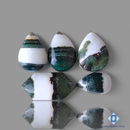 Green Zebra Jasper