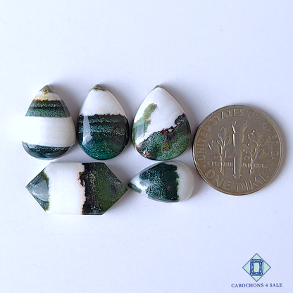 Green Zebra Jasper