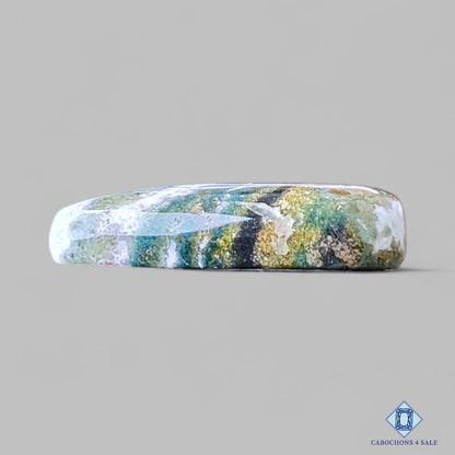 Green Zebra Jasper