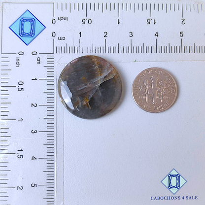 Grey Moonstone Round Cabochons 24*4mm