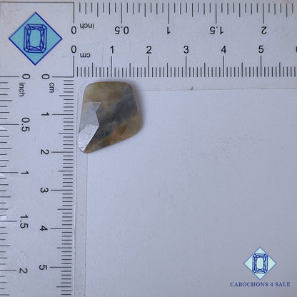 Natural Grey Sapphire Gemstone  Fancy Rose Cut 21*17*4mm from Myanmar available for sale