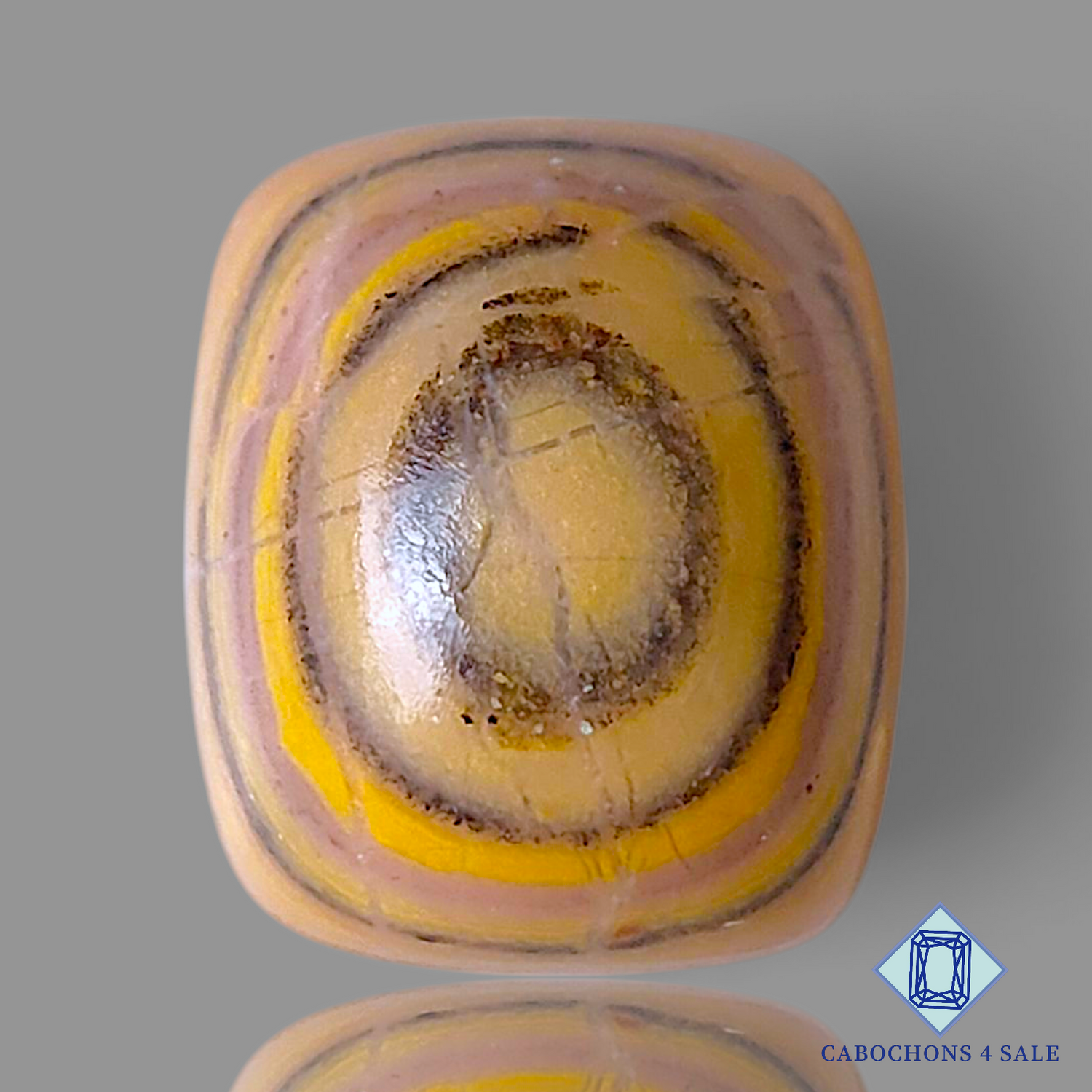Hickoryite Jasper
