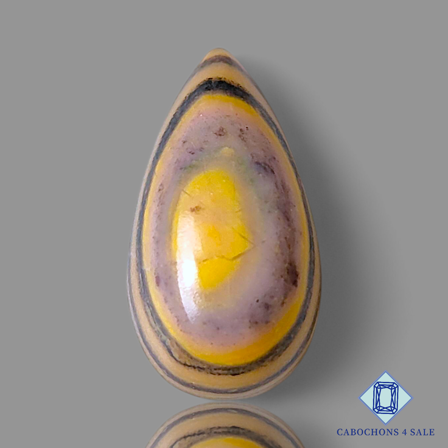 Hickoryite Jasper