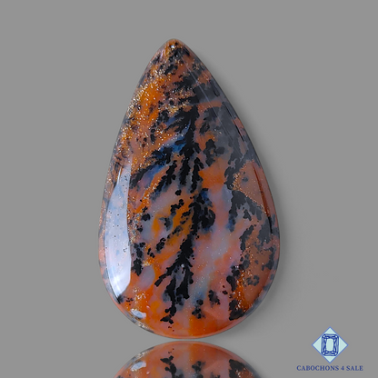 Honey Dendrite Agate