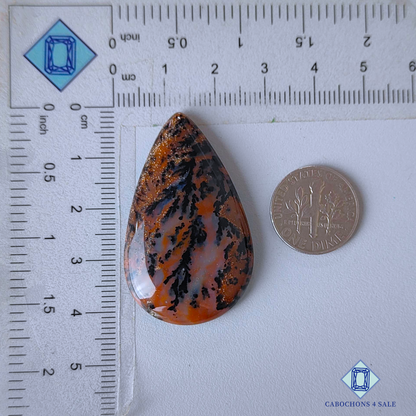 Honey Dendrite Agate