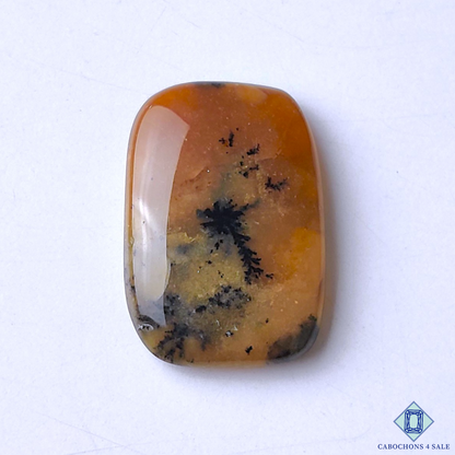 Honey Dendrite Agate