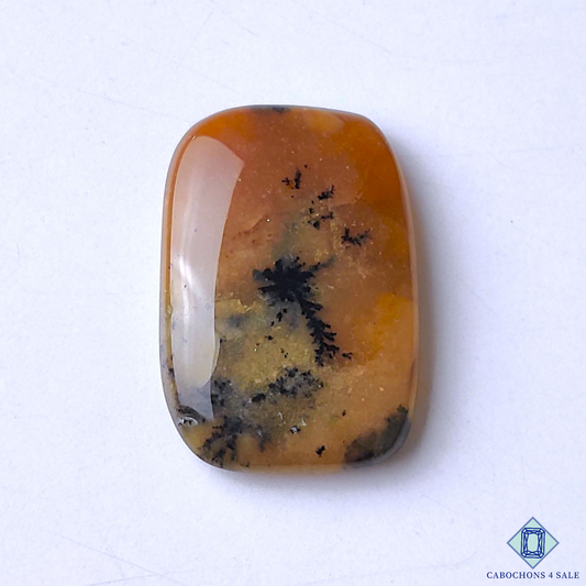 Honey Dendrite Agate