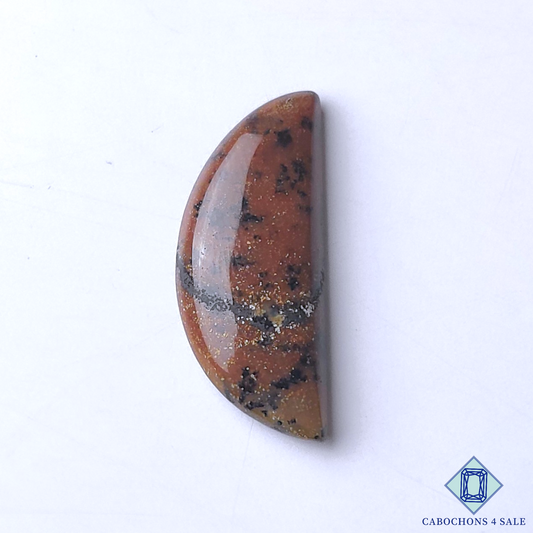 Honey Dendritic Agate