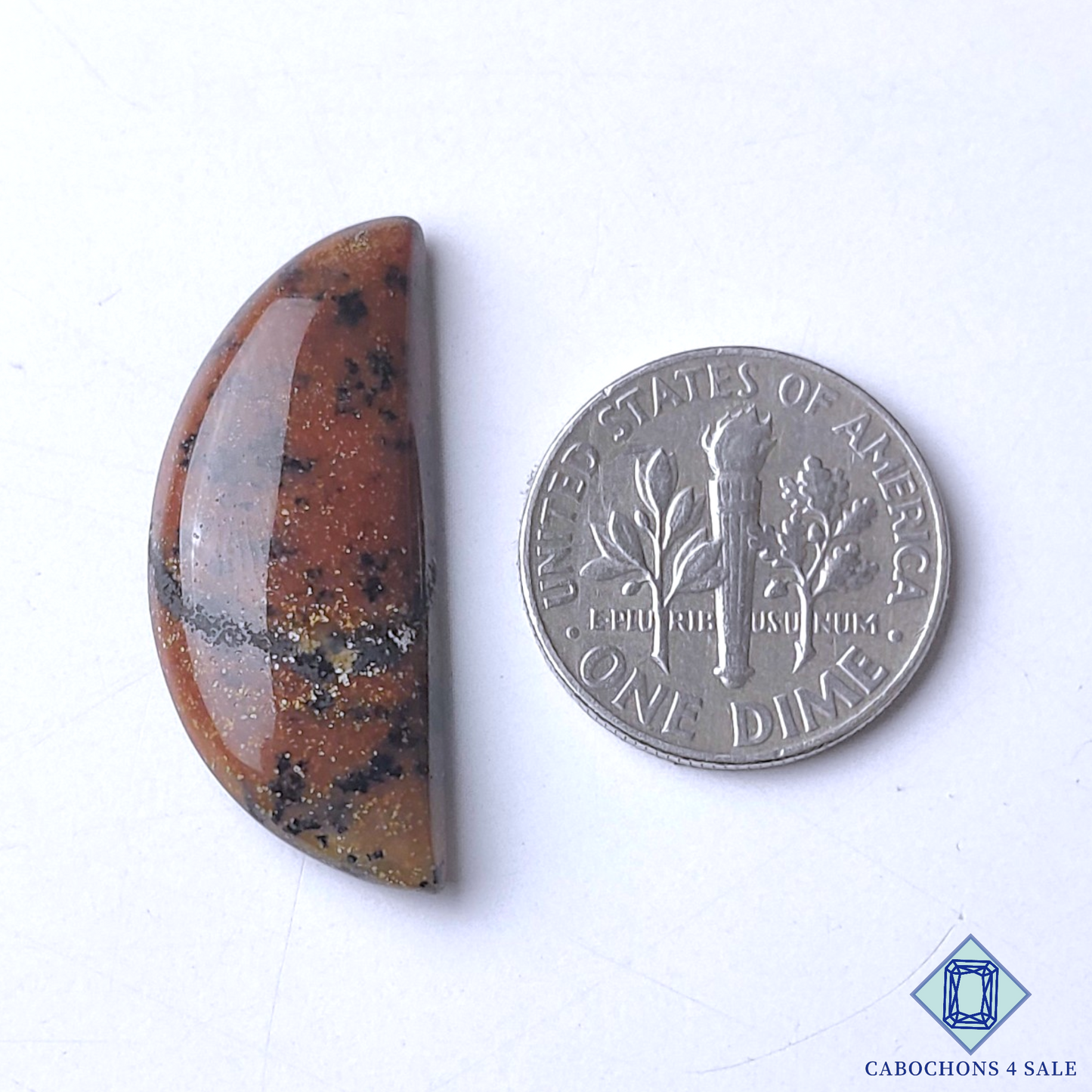 Honey Dendritic Agate