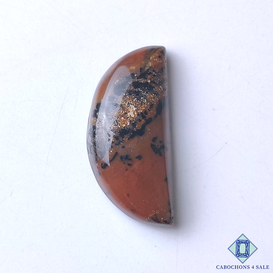 Honey Dendritic Agate