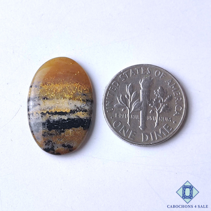 Honey Dendritic Agate