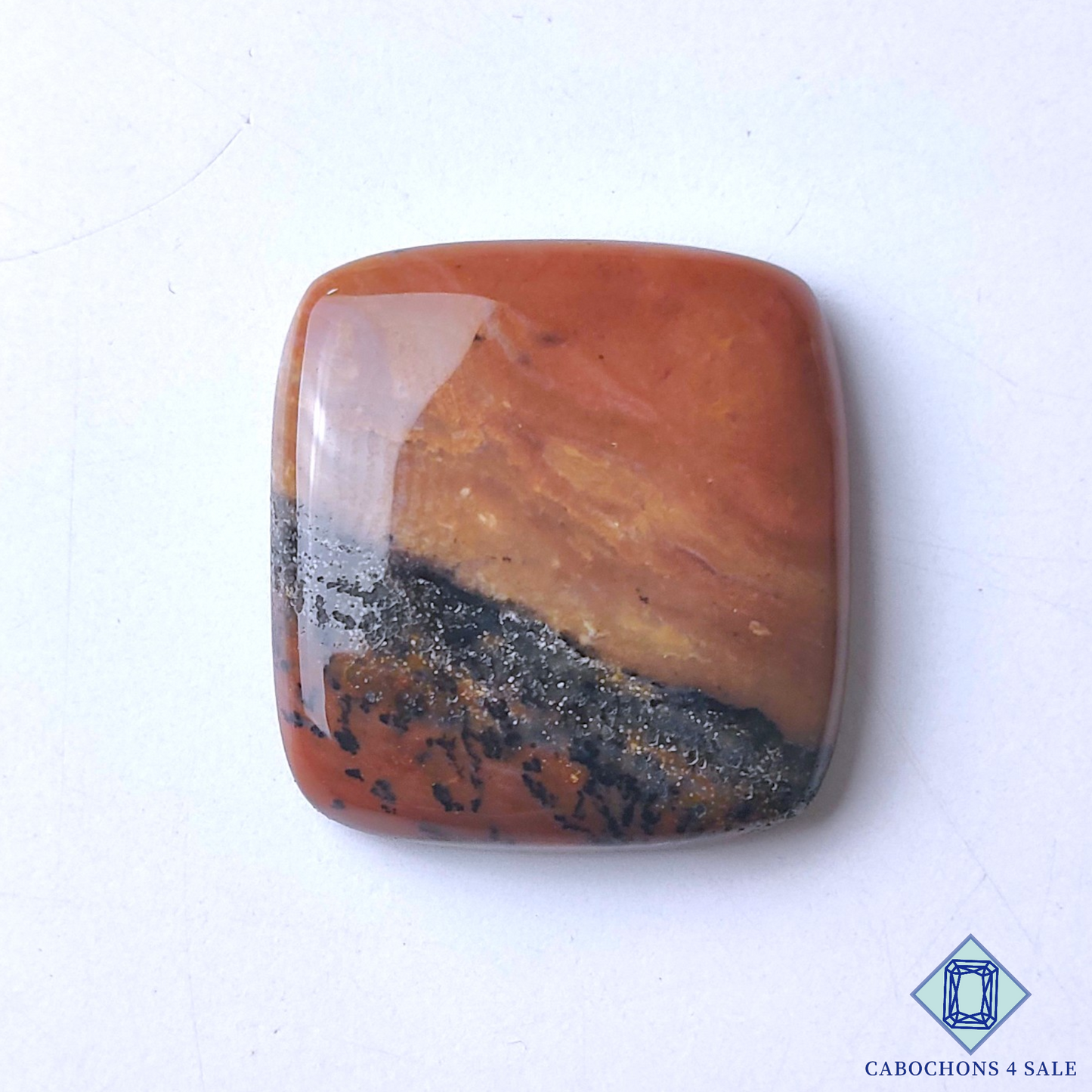 Honey Dendritic Agate