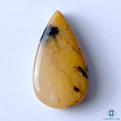 Honey Dendritic Opal
