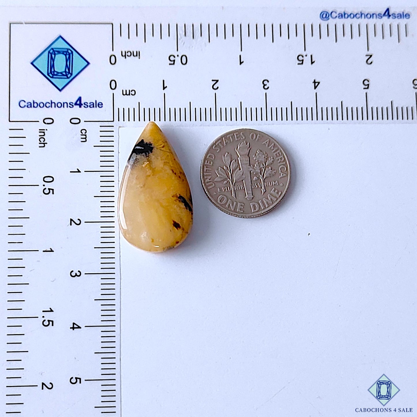 Honey Dendritic Opal