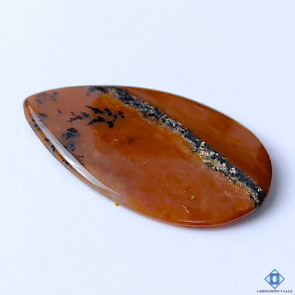 Honey Dendritic Opal