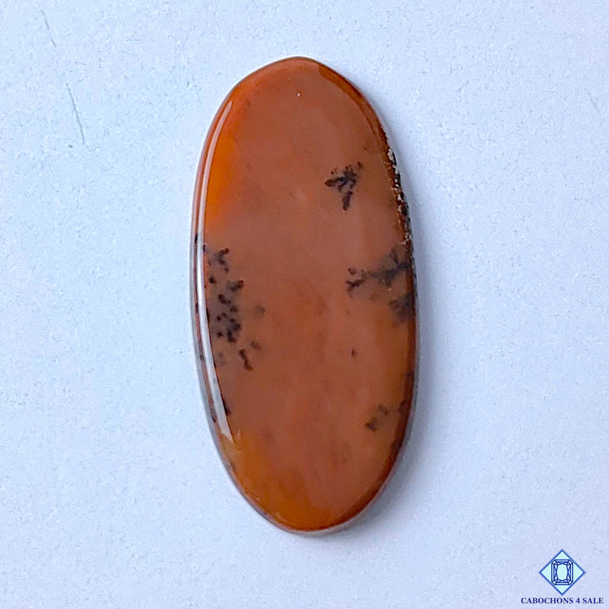 Honey Dendritic Opal