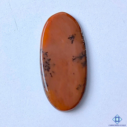 Honey Dendritic Opal