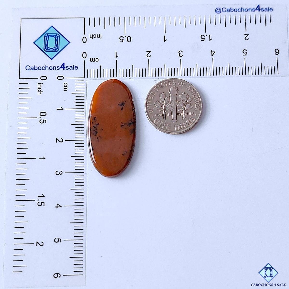 Honey Dendritic Opal