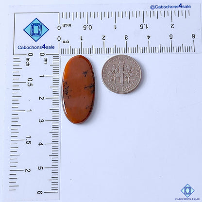 Honey Dendritic Opal