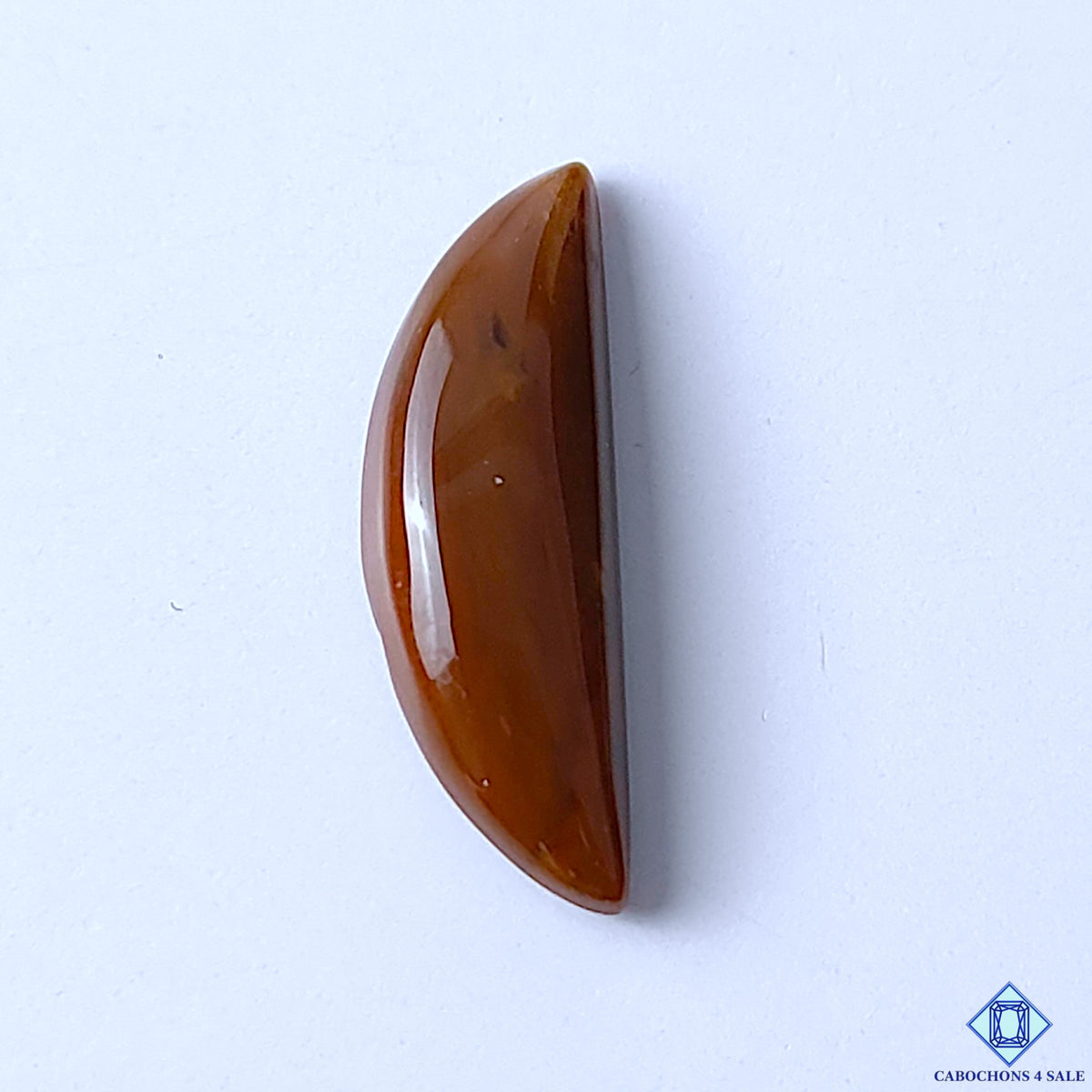 Honey Dendritic Opal