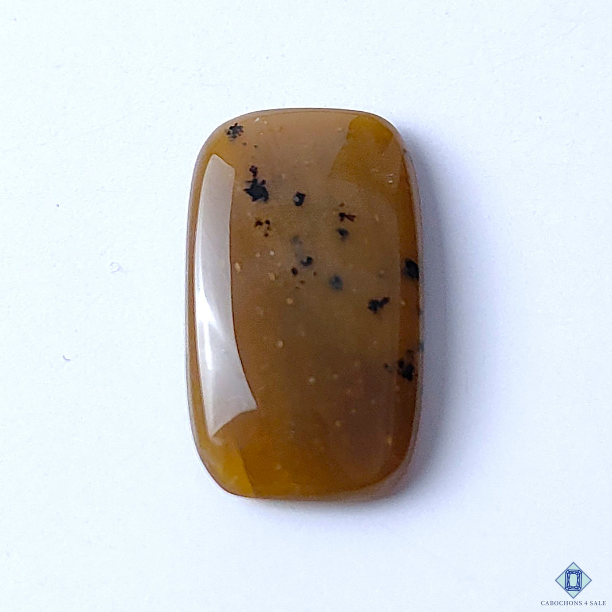 Honey Dendritic Opal