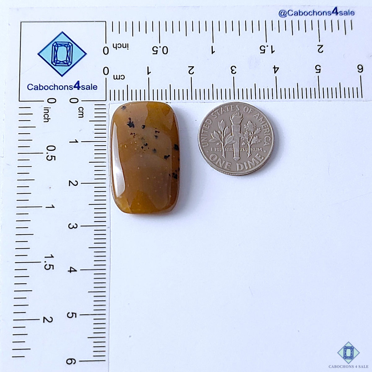 Honey Dendritic Opal