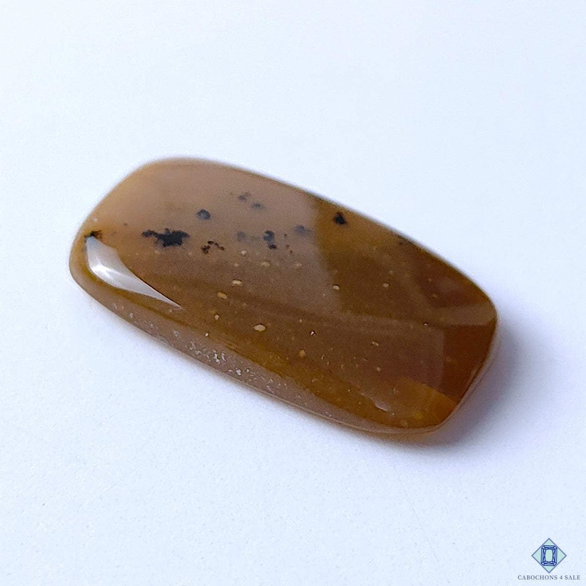 Honey Dendritic Opal