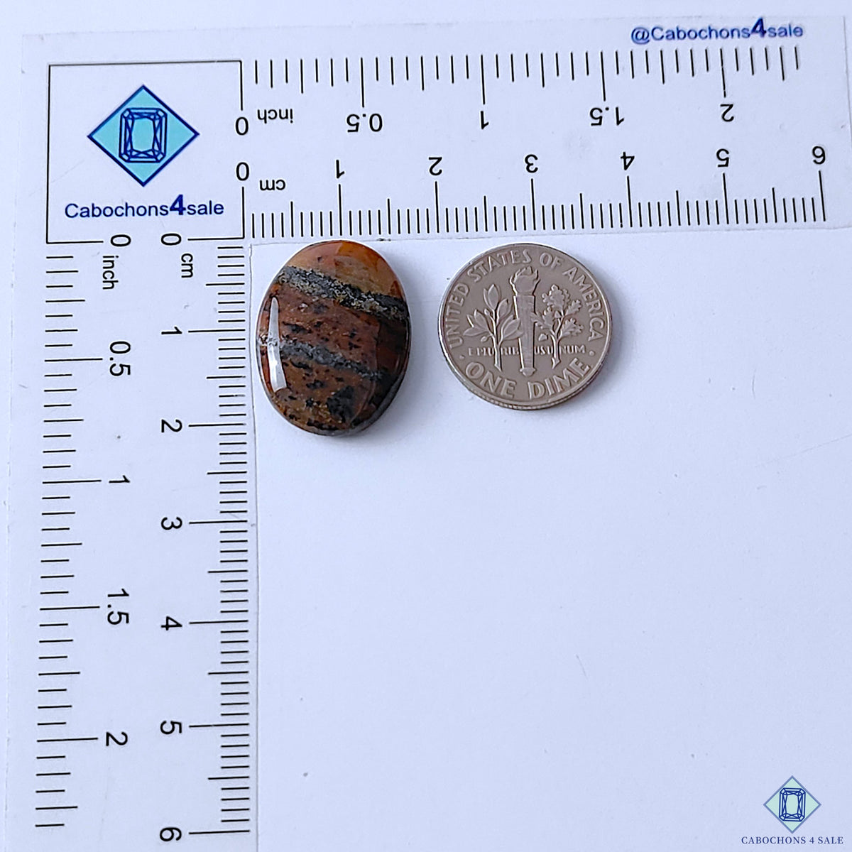 Honey Dendritic Opal