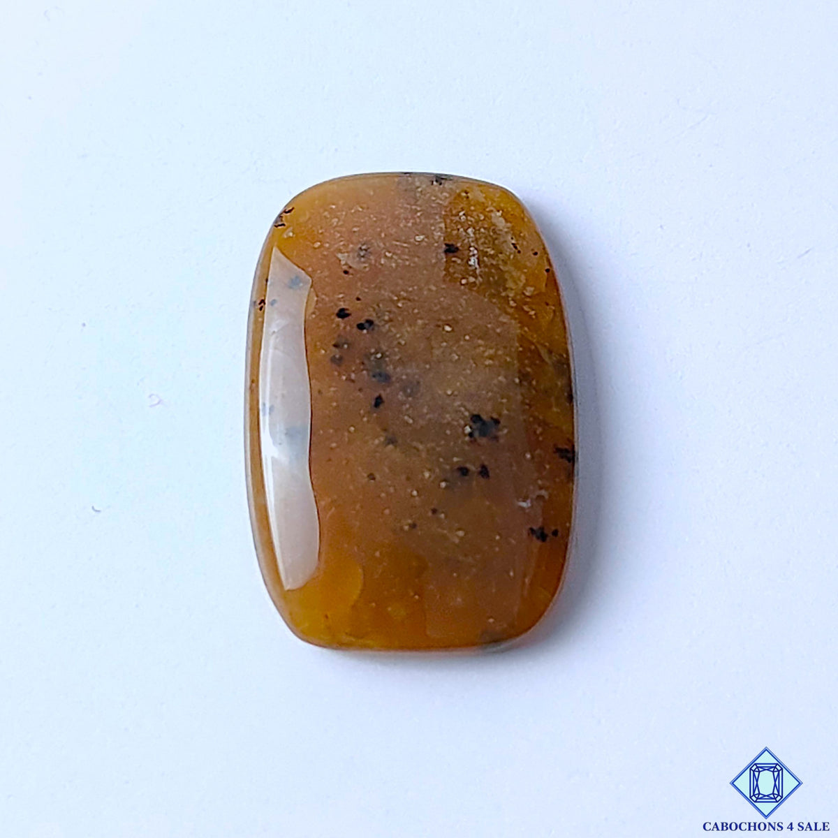 Honey Dendritic Opal