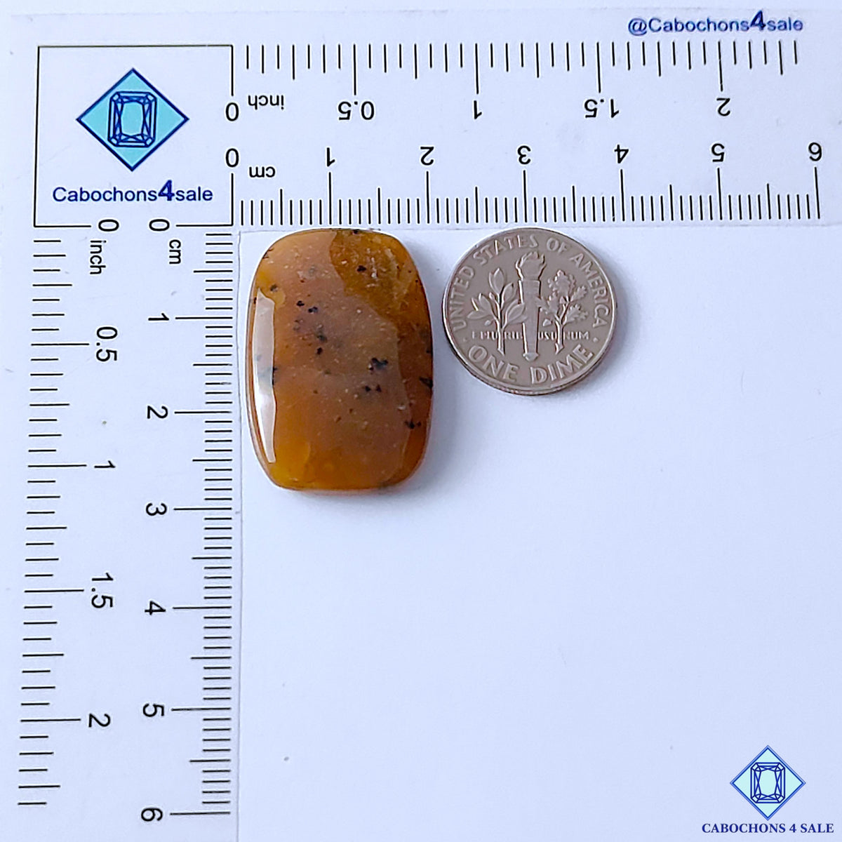 Honey Dendritic Opal