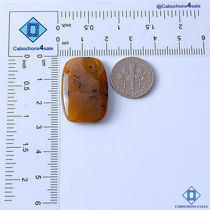 Honey Dendritic Opal