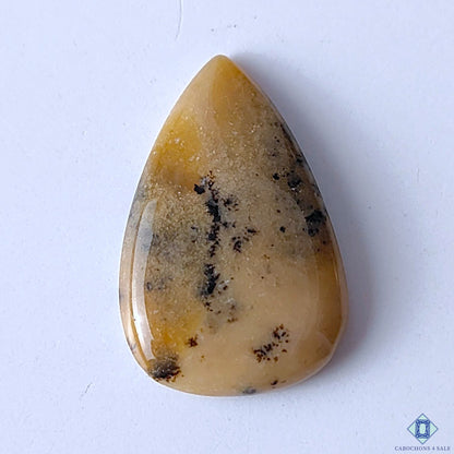 Honey Dendritic Opal