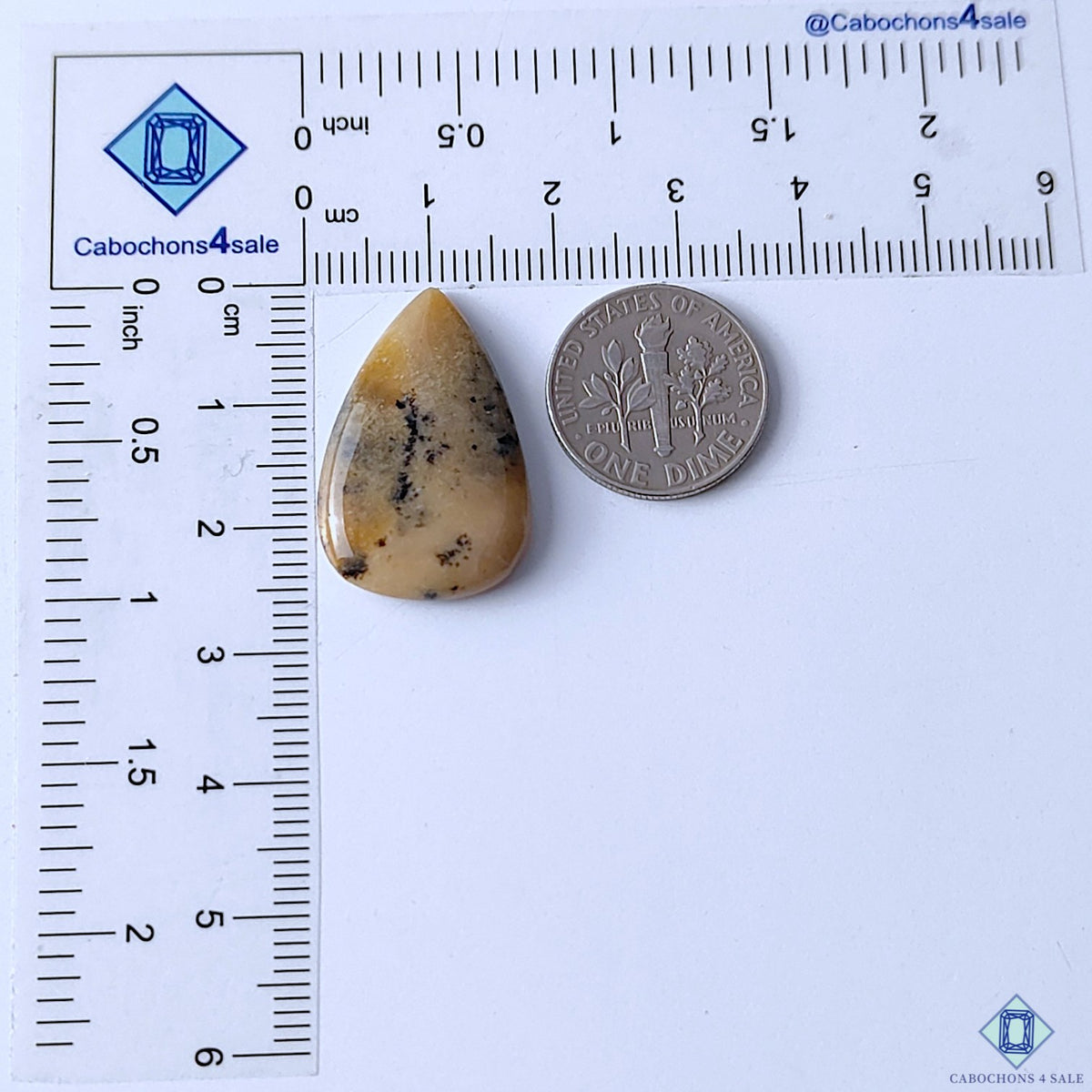 Honey Dendritic Opal