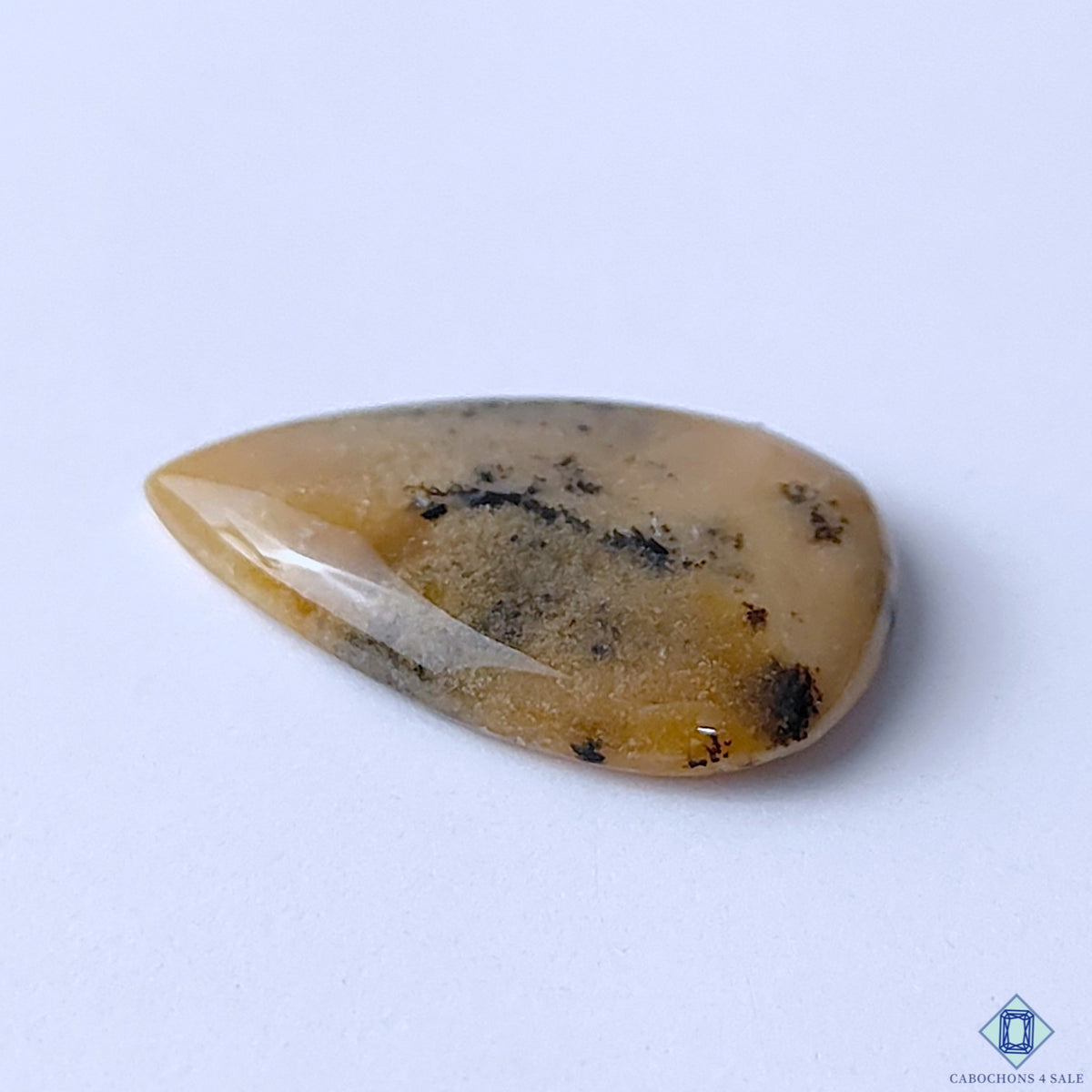 Honey Dendritic Opal