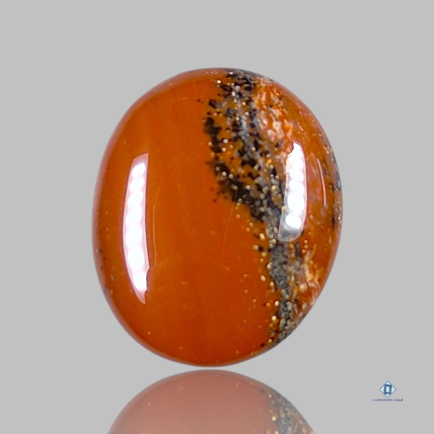 Honey Dendritic Opal