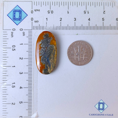 Cabujones ovalados de marcasita color miel de 29 x 15 x 6 mm