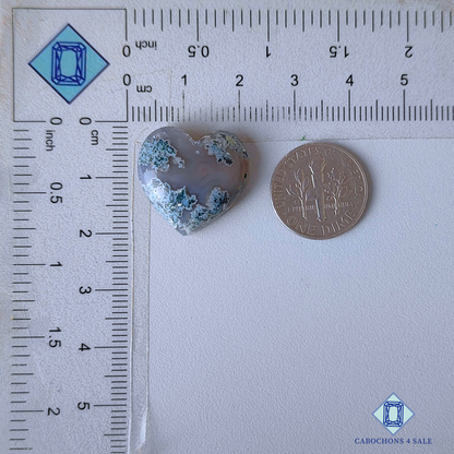 Horse Canyon Moss Agate