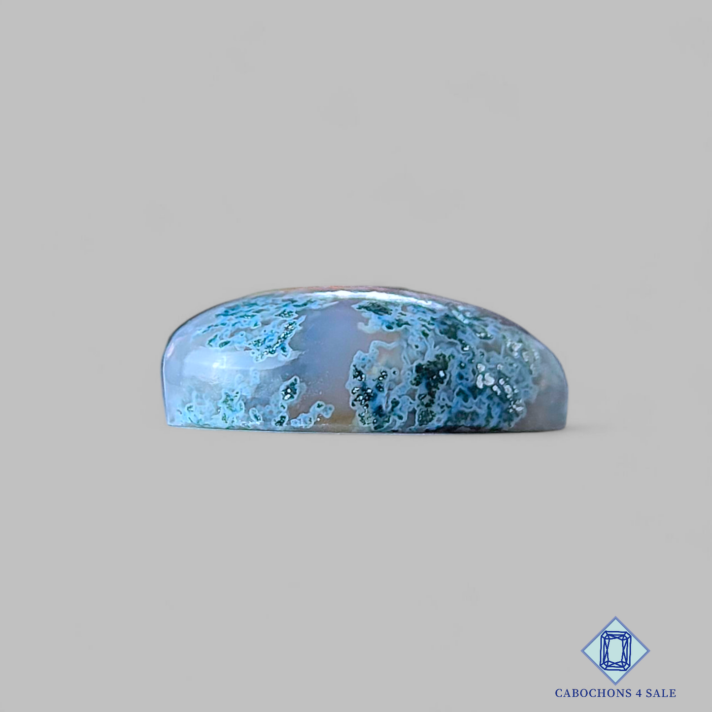 Horse Canyon Moss Agate